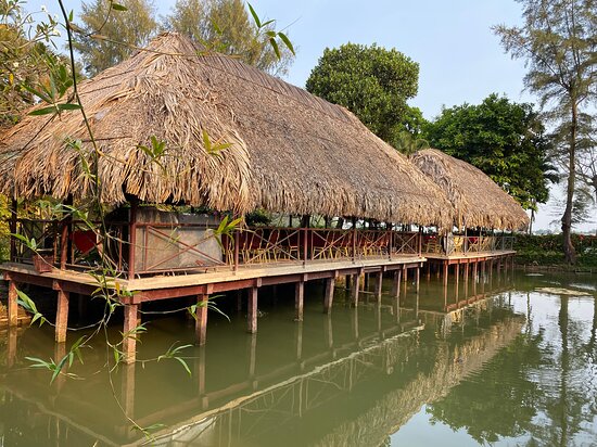 Como escolher o melhor plano de hospedagem para sua ONG