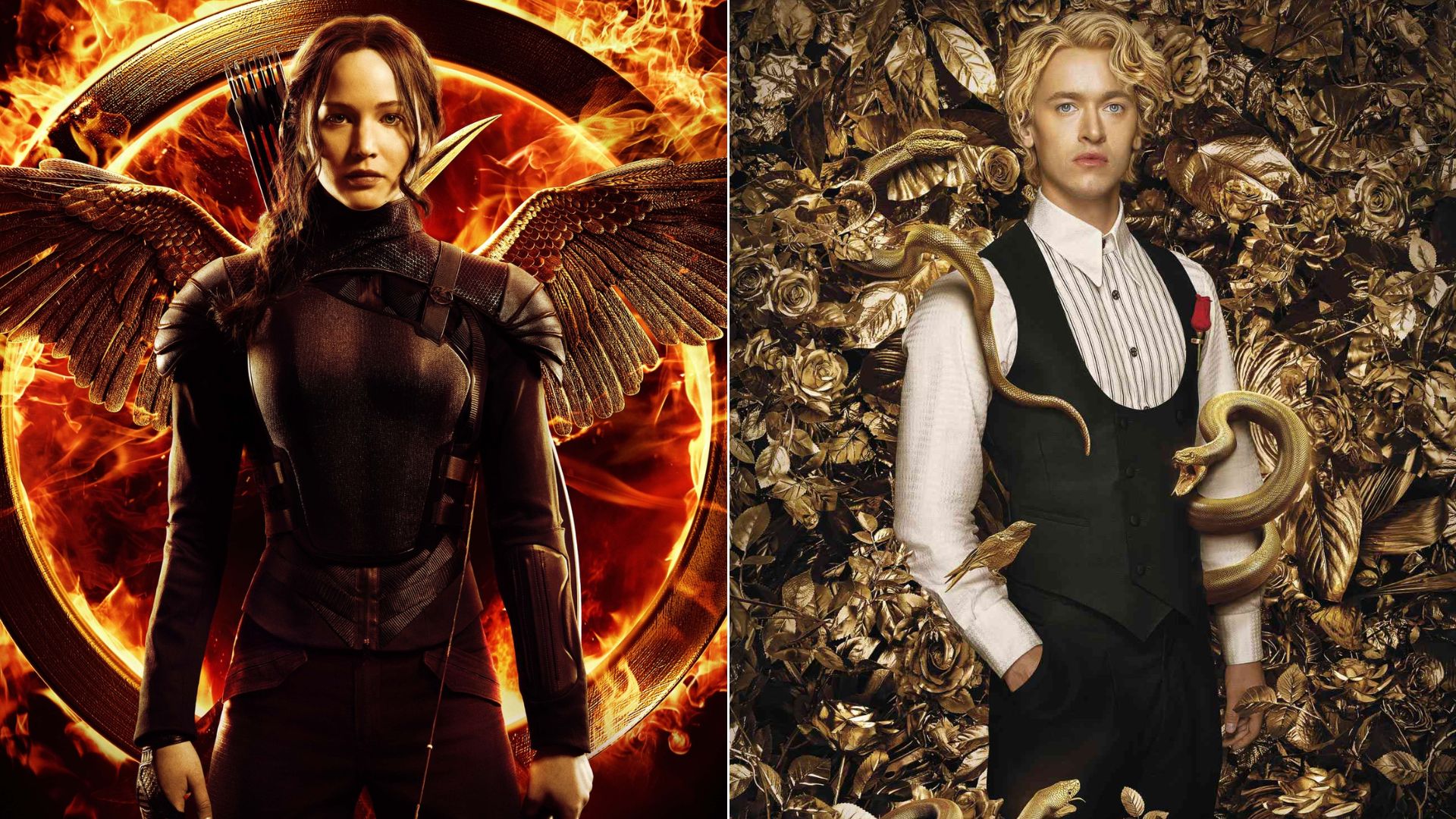 Amanhecer na Colheita: Tudo o que Sabemos sobre o Próximo Filme e Livro de Jogos Vorazes