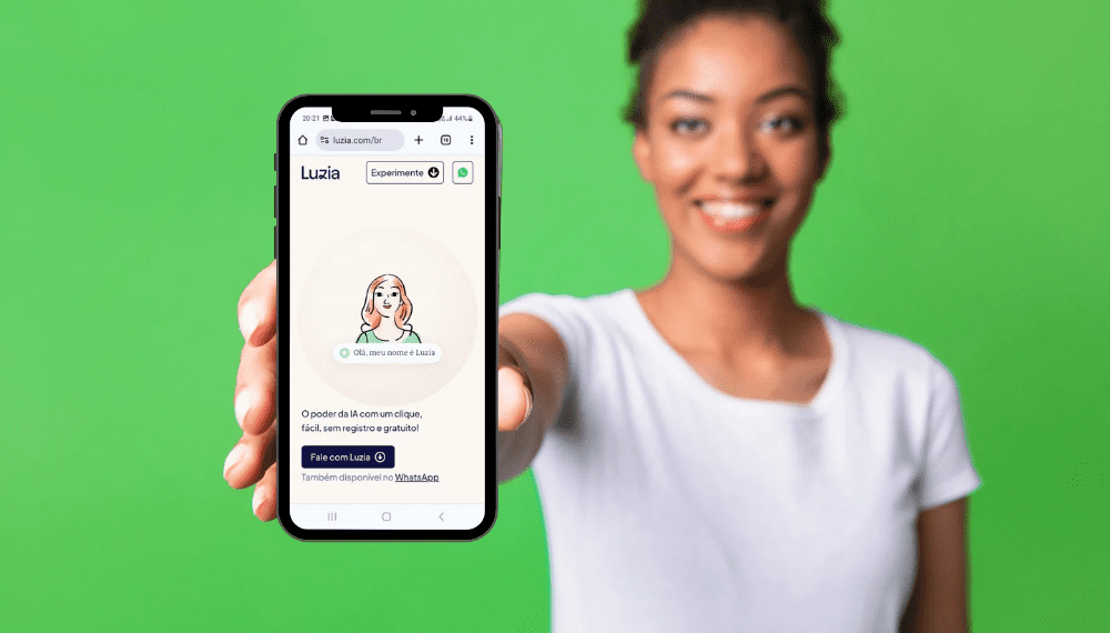 erros comuns ao usar luzia web pela primeira vez