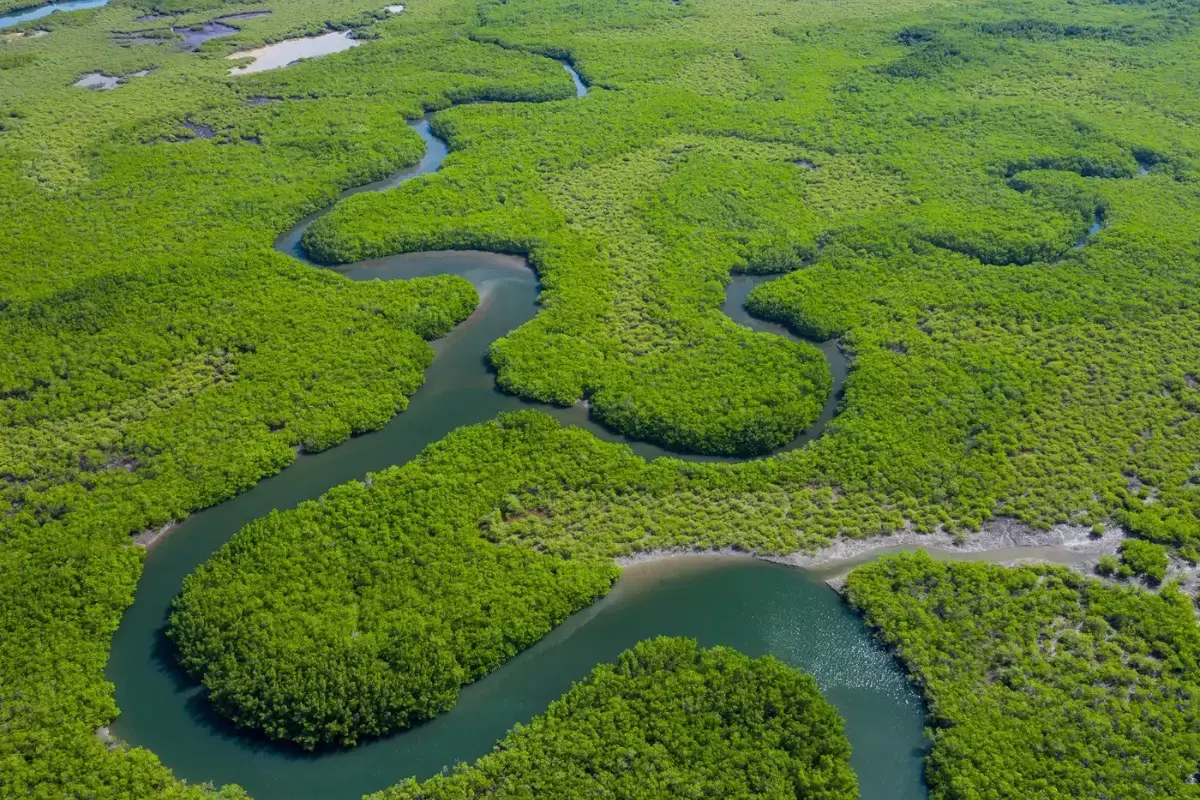 5 ideias de títulos:
1. Rio Amazonas: O Gigante Que Domina o Mundo
2. Desvendando o Amazonas: Extensão