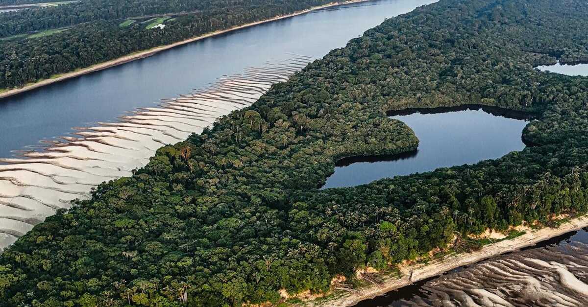 5 ideias de títulos:
1. Rio Amazonas: O Gigante Que Domina o Mundo
2. Desvendando o Amazonas: Extensão