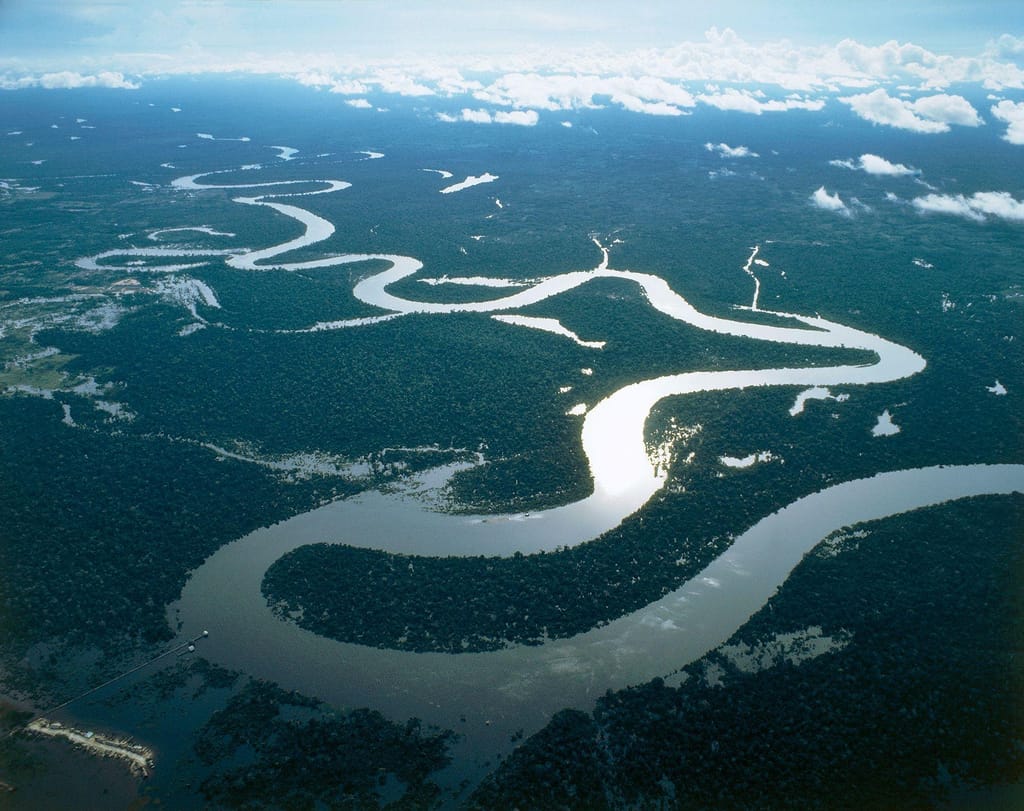 5 ideias de títulos:
1. Rio Amazonas: O Gigante Que Domina o Mundo
2. Desvendando o Amazonas: Extensão