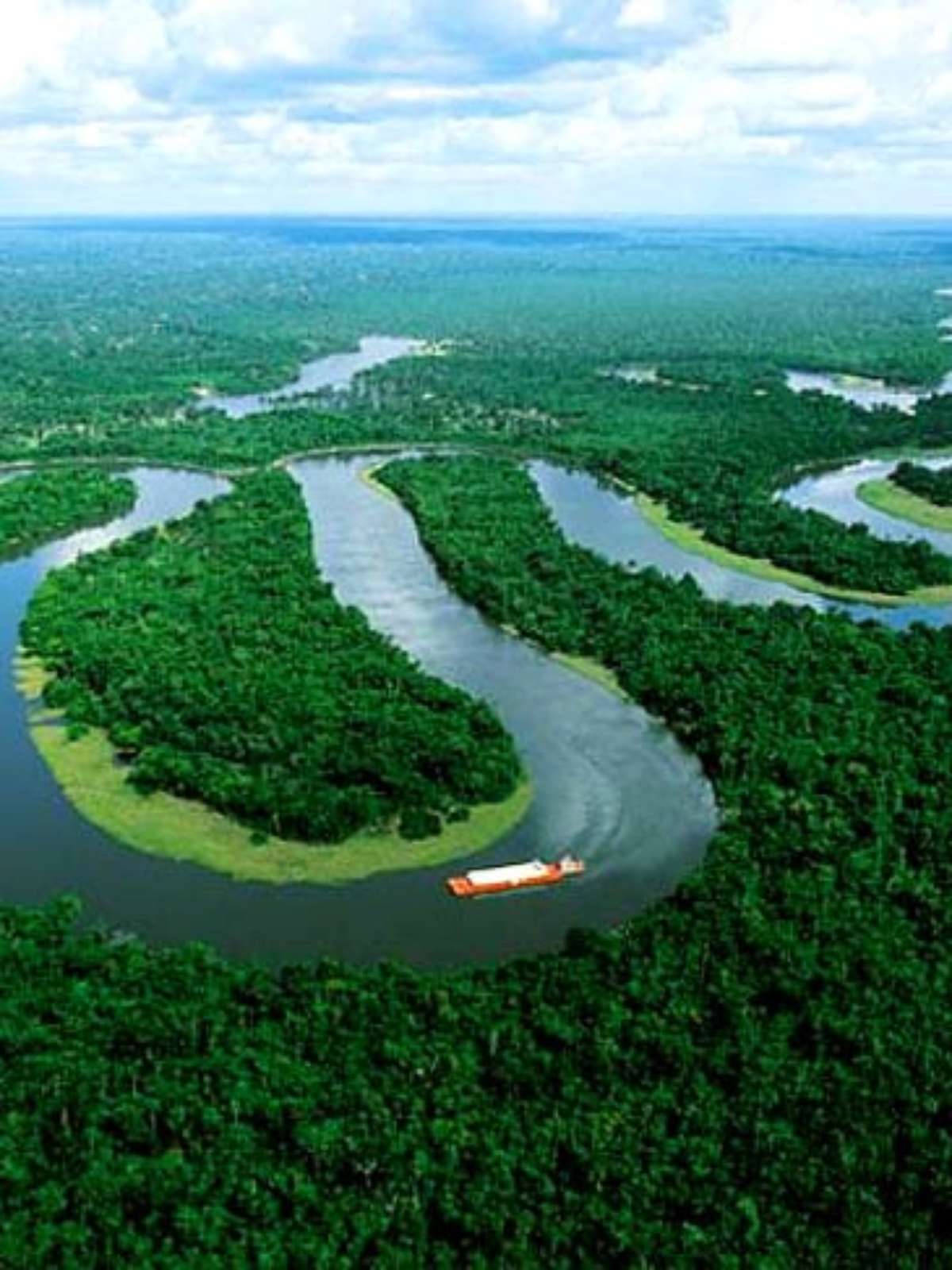 5 ideias de títulos:
1. Rio Amazonas: O Gigante Que Domina o Mundo
2. Desvendando o Amazonas: Extensão
