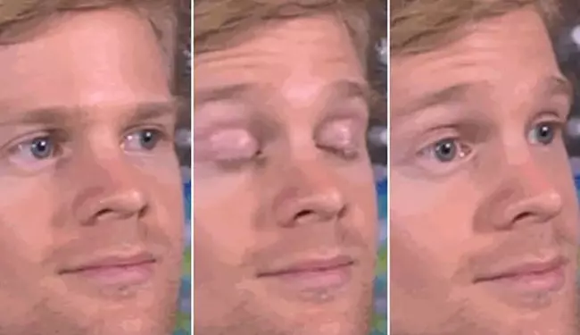 A História por Trás do Meme Doge e a Dogecoin