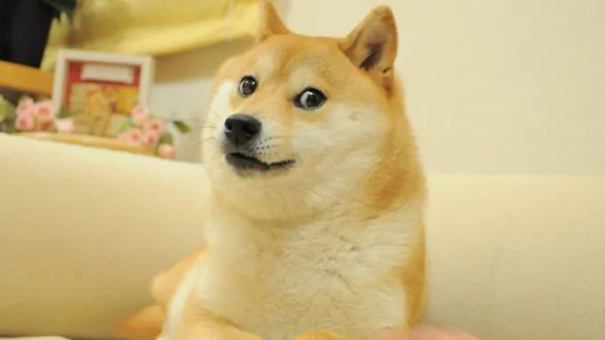 De Nazaré Confusa a Gretchen: Os Maiores Memes Brasileiros que Conquistaram o Mundo