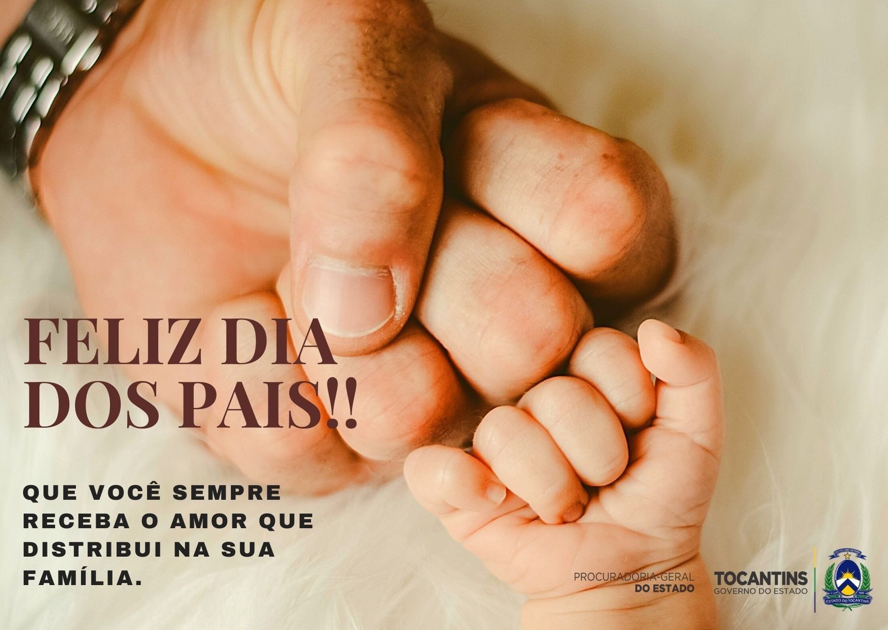 frases inspiradoras para homenagear o pai