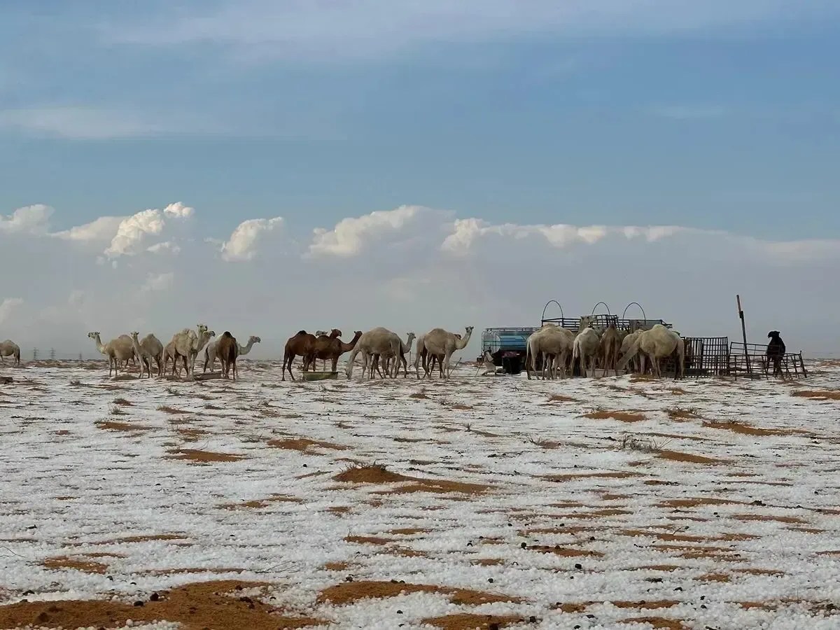 fotos de neve no deserto do saara