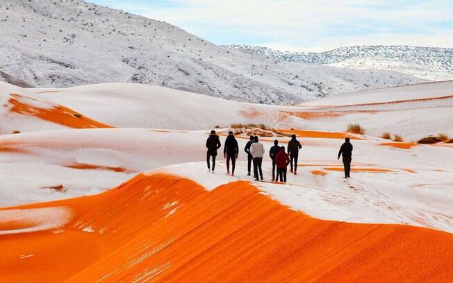 custo projeto trogena arabia saudita