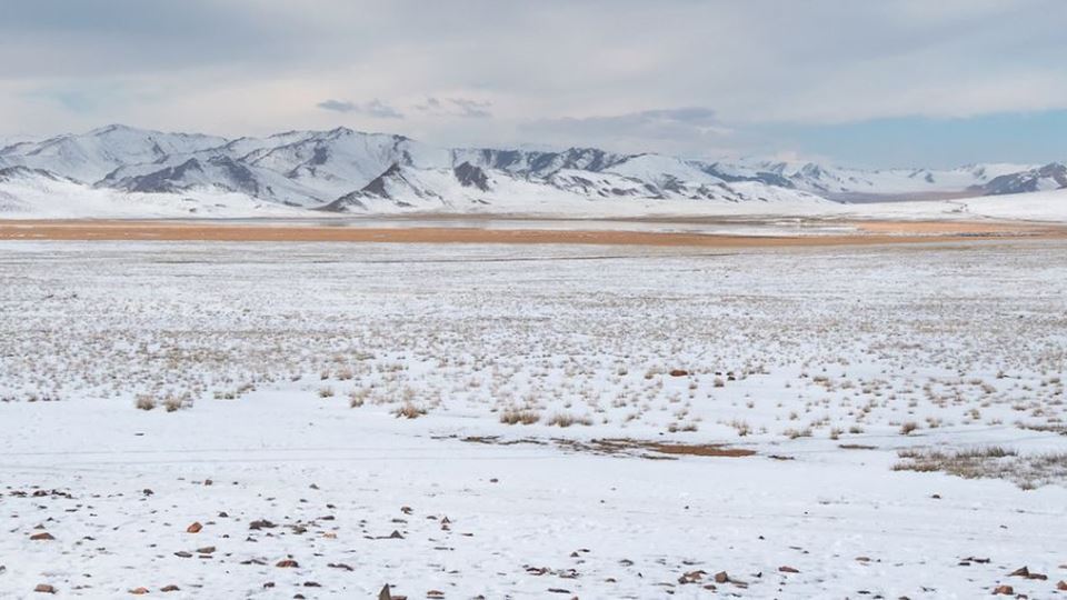 erros ao viajar para deserto nevado