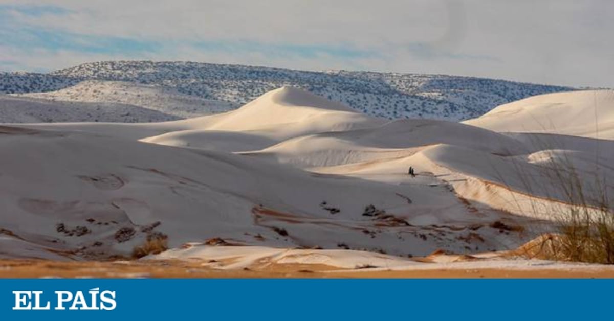 neve no deserto vs neve em montanha