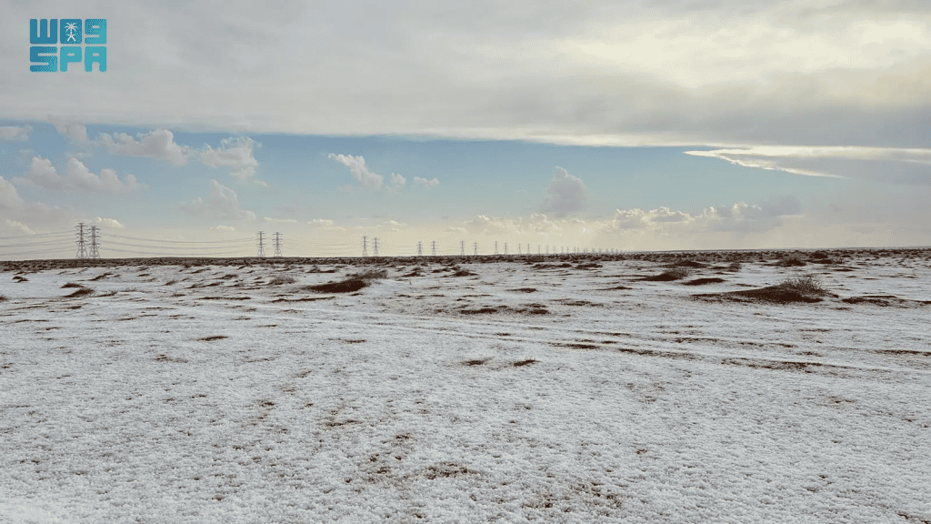 custo projeto trogena arabia saudita