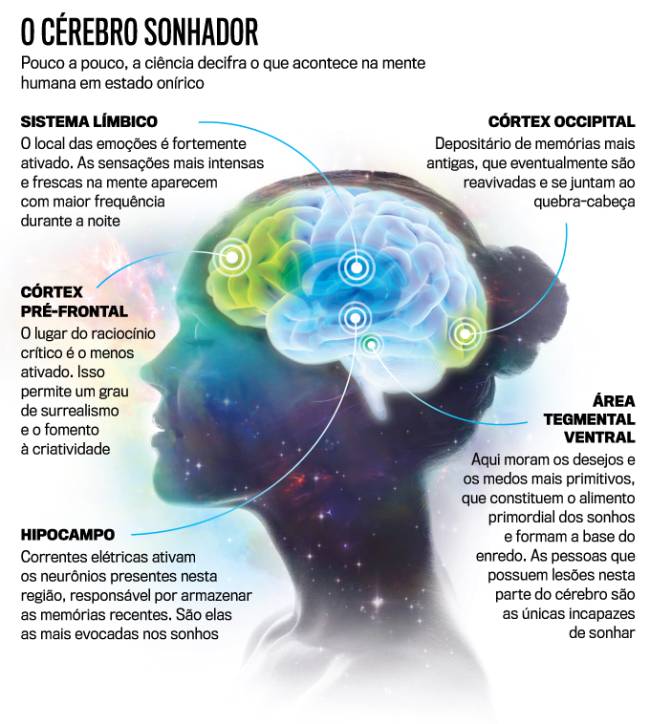Sonhos e a ciência: o que a neurociência explica