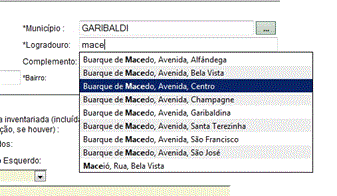 Guia completo para preencher formulários online