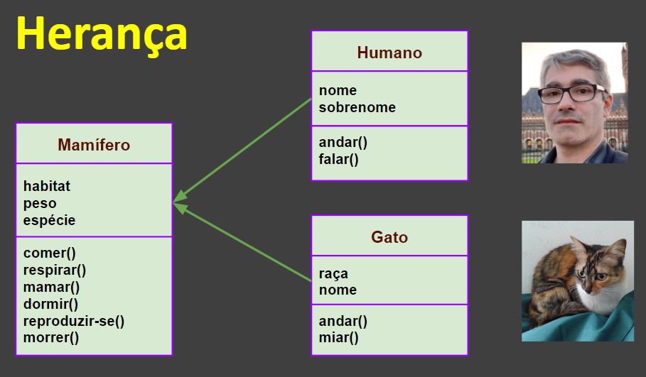 5 ideias de títulos