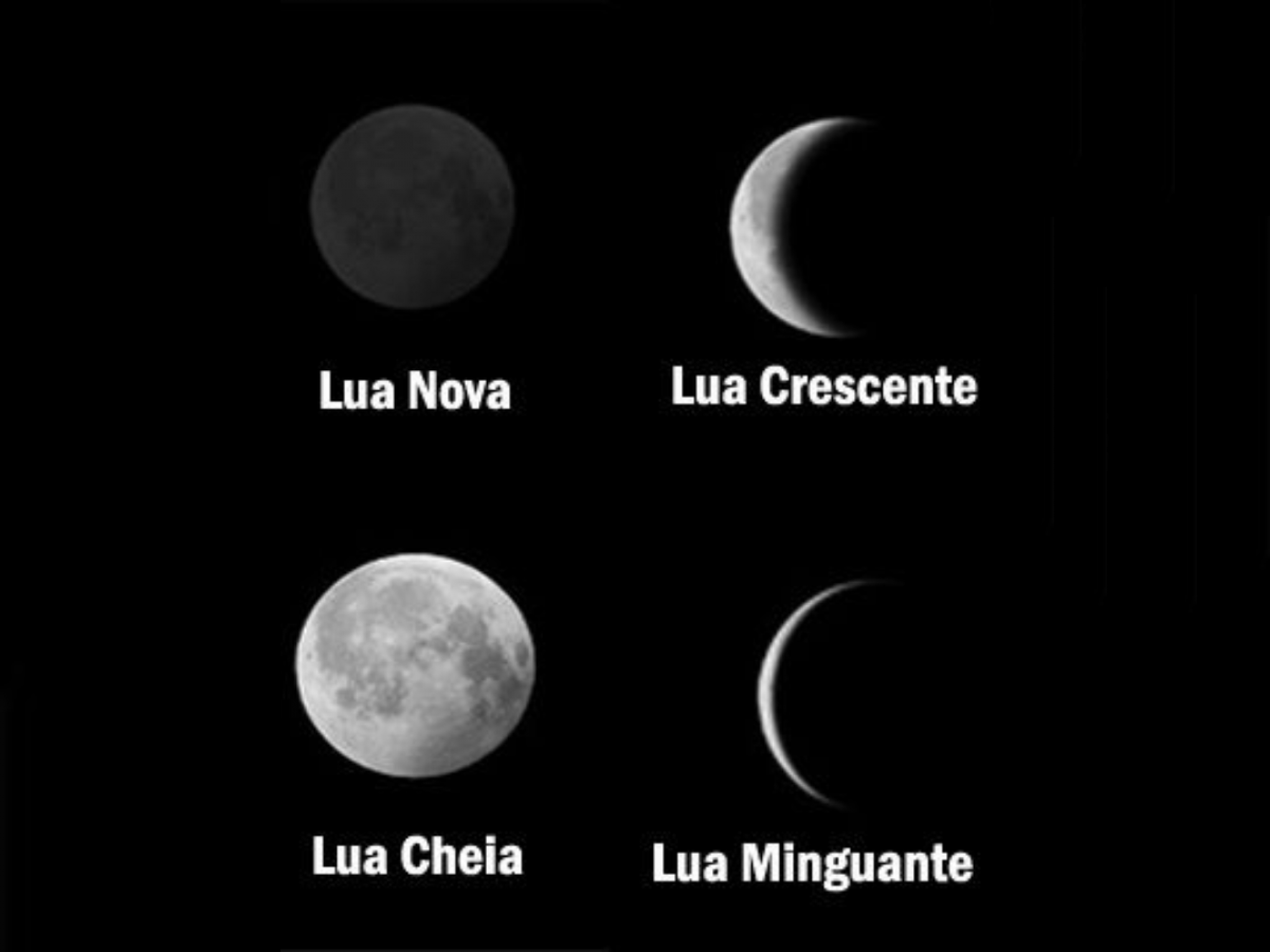 Guia completo das fases da Lua em 2026