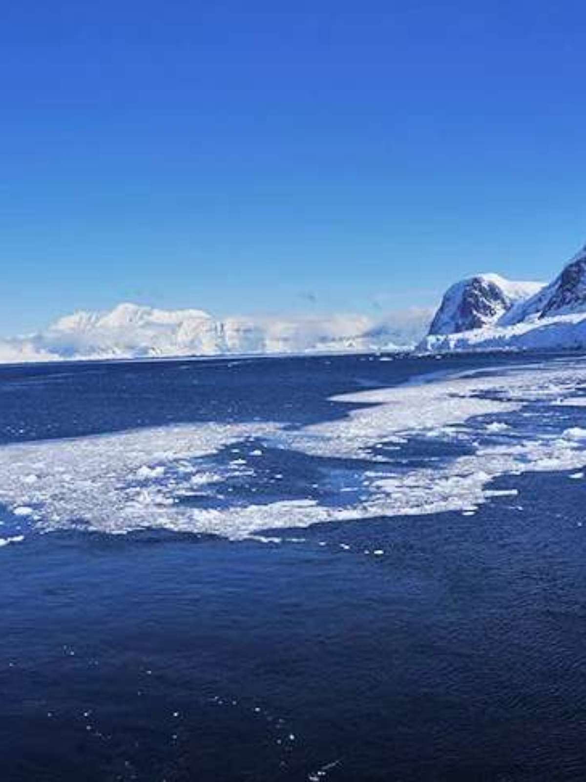 Além da Areia: A Verdadeira Definição de Deserto na Ciência