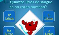 Mitos e Verdades sobre a Reposição de Sangue Após a Doação