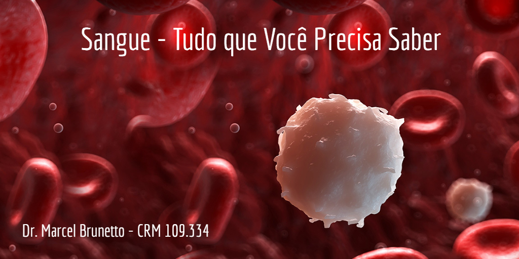 quantos litros de sangue tem o corpo humano