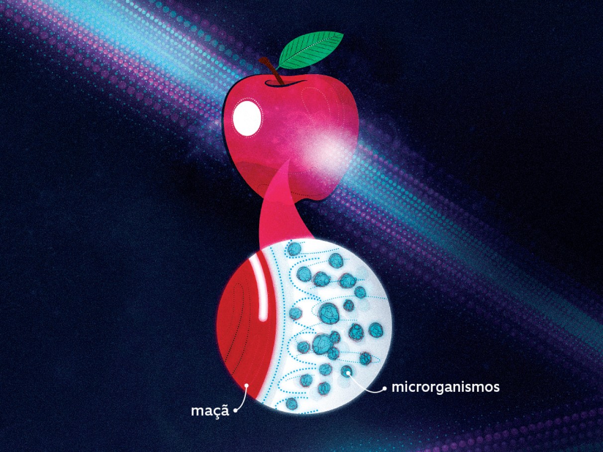 5 ideias de títulos