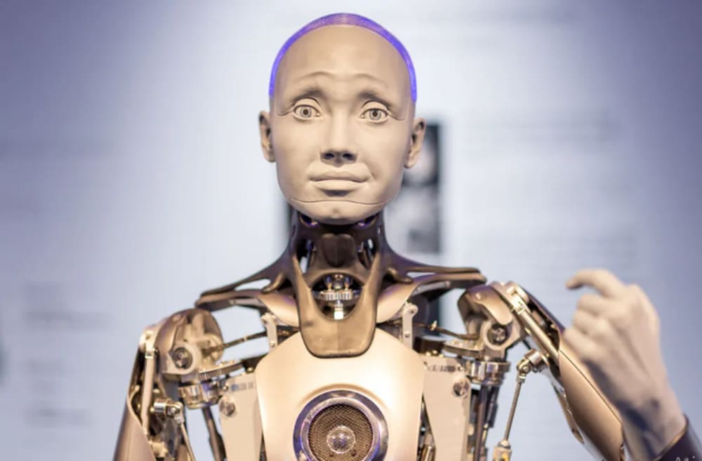 robô humanoide preço