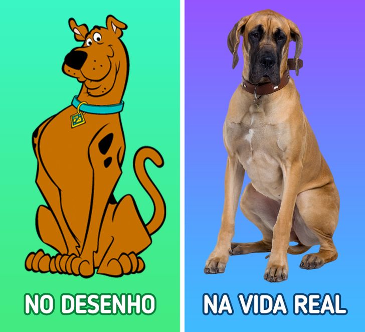 scooby doo personagem