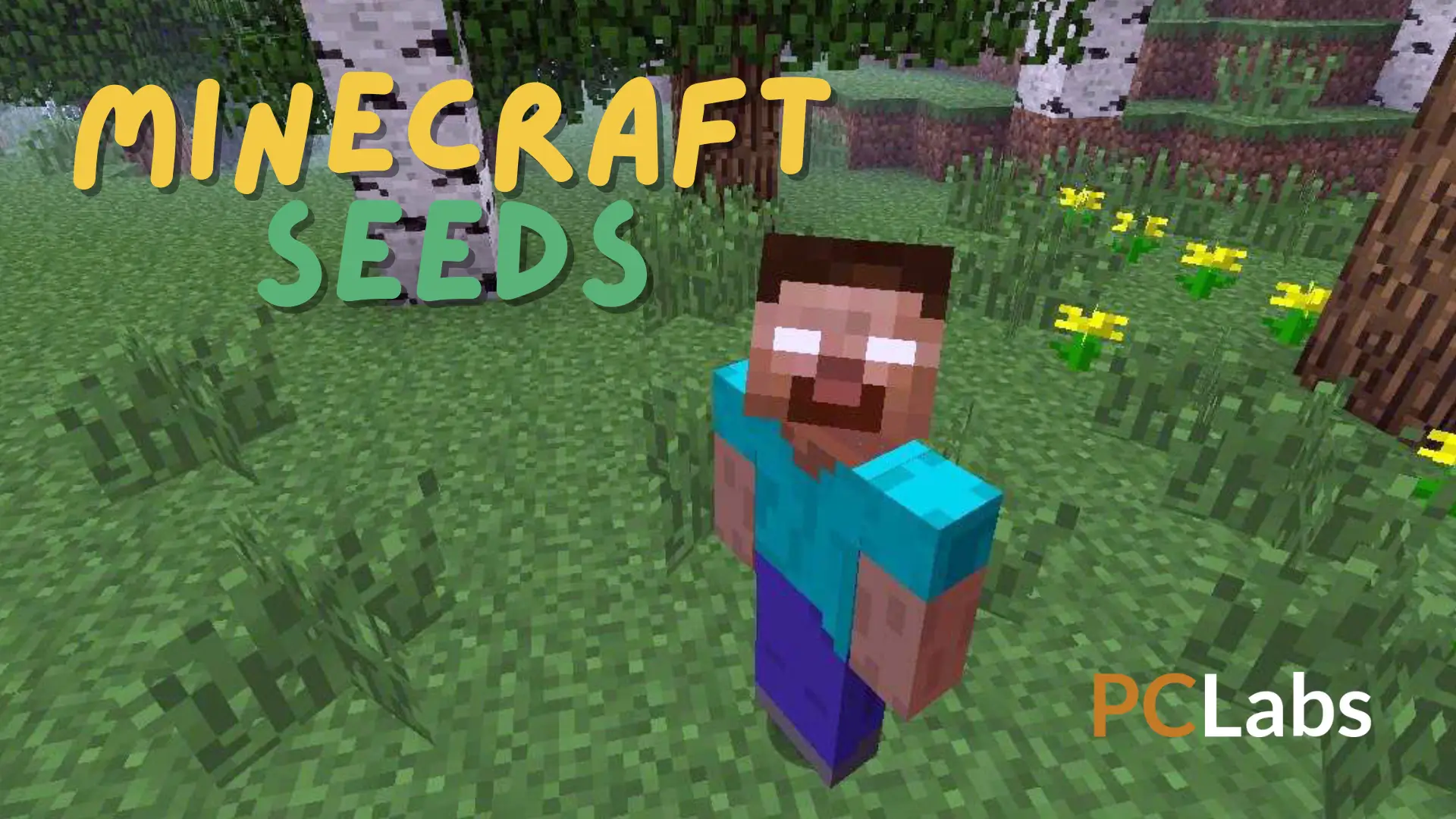 Guia Completo: Como Encontrar Diamantes Fáceis no Minecraft com Seeds Específicas