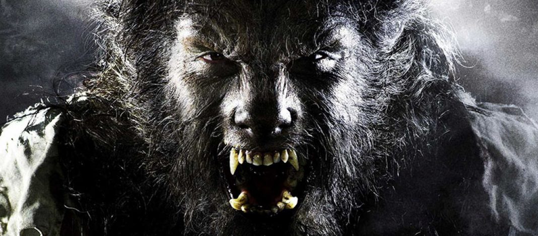 Guia Definitivo de Wolf Pack: Personagens e Trama