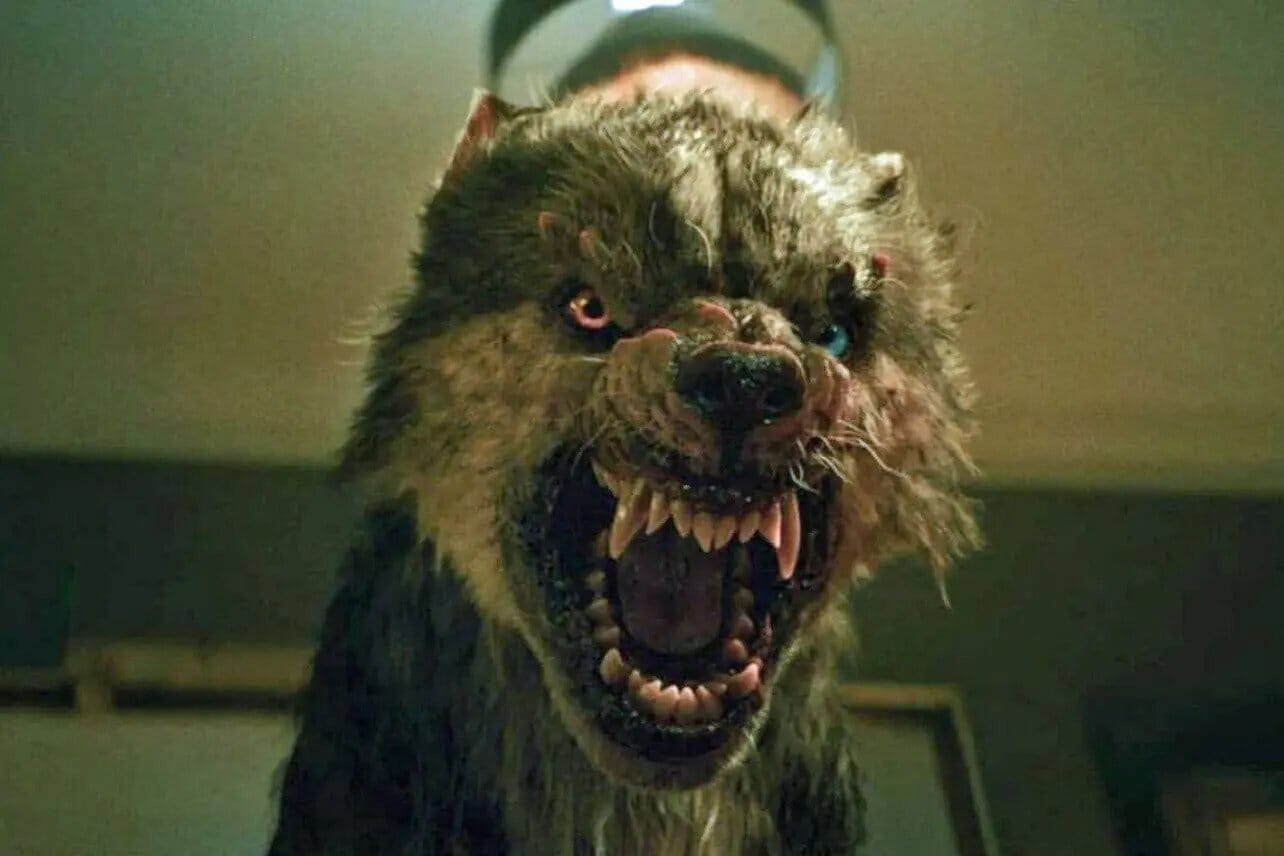 Explorando o Mundo Sombrio de Hemlock Grove