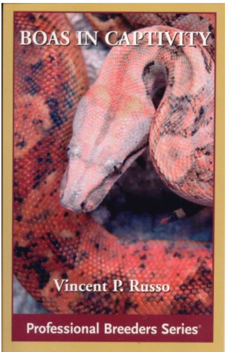 Guia completo de séries de suspense para maratonar