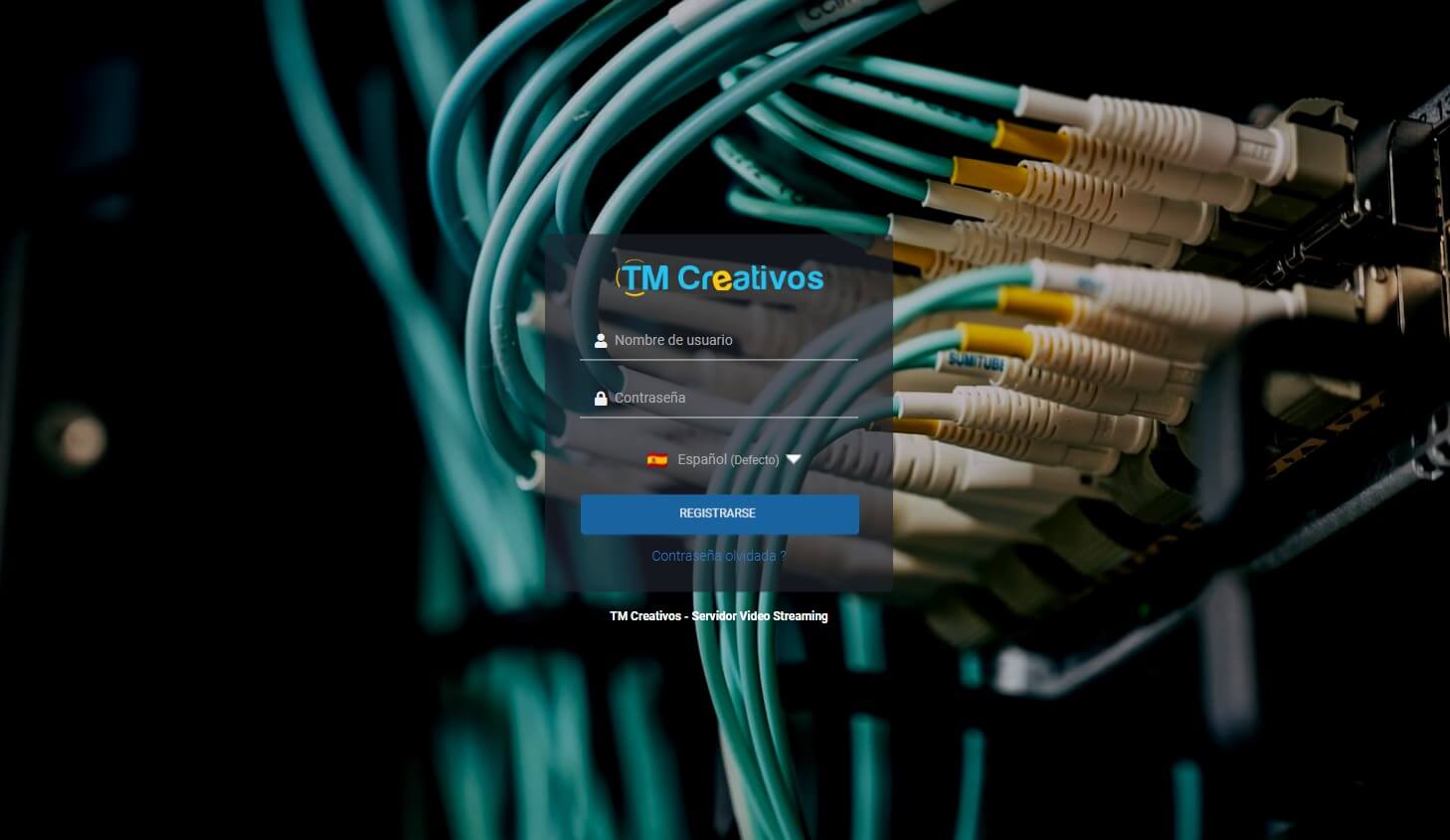 Protocolos e Hospedagem Essenciais