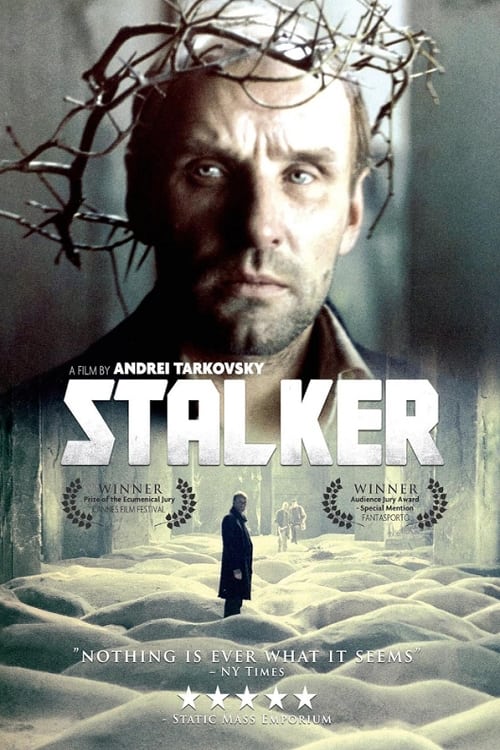 filmes sobre stalkers