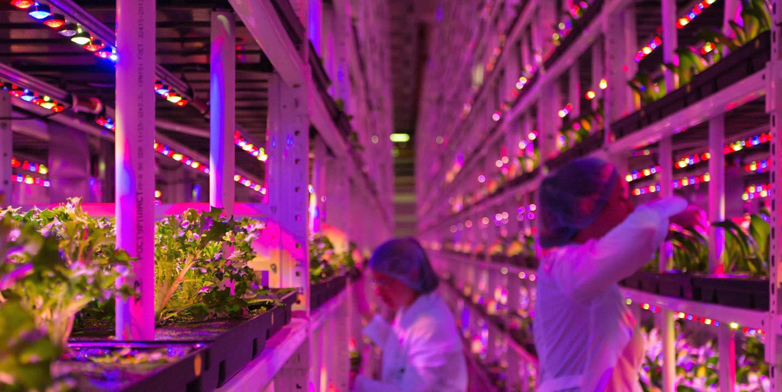 inovação agricultura urbana 2026