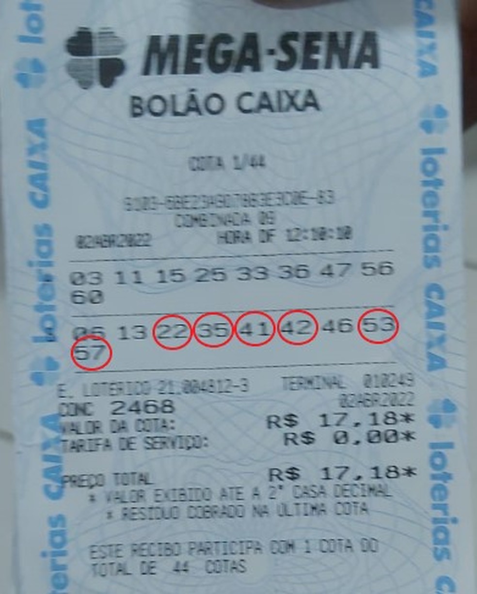 Guia Completo: Como Conferir o Resultado da Mega-Sena Online