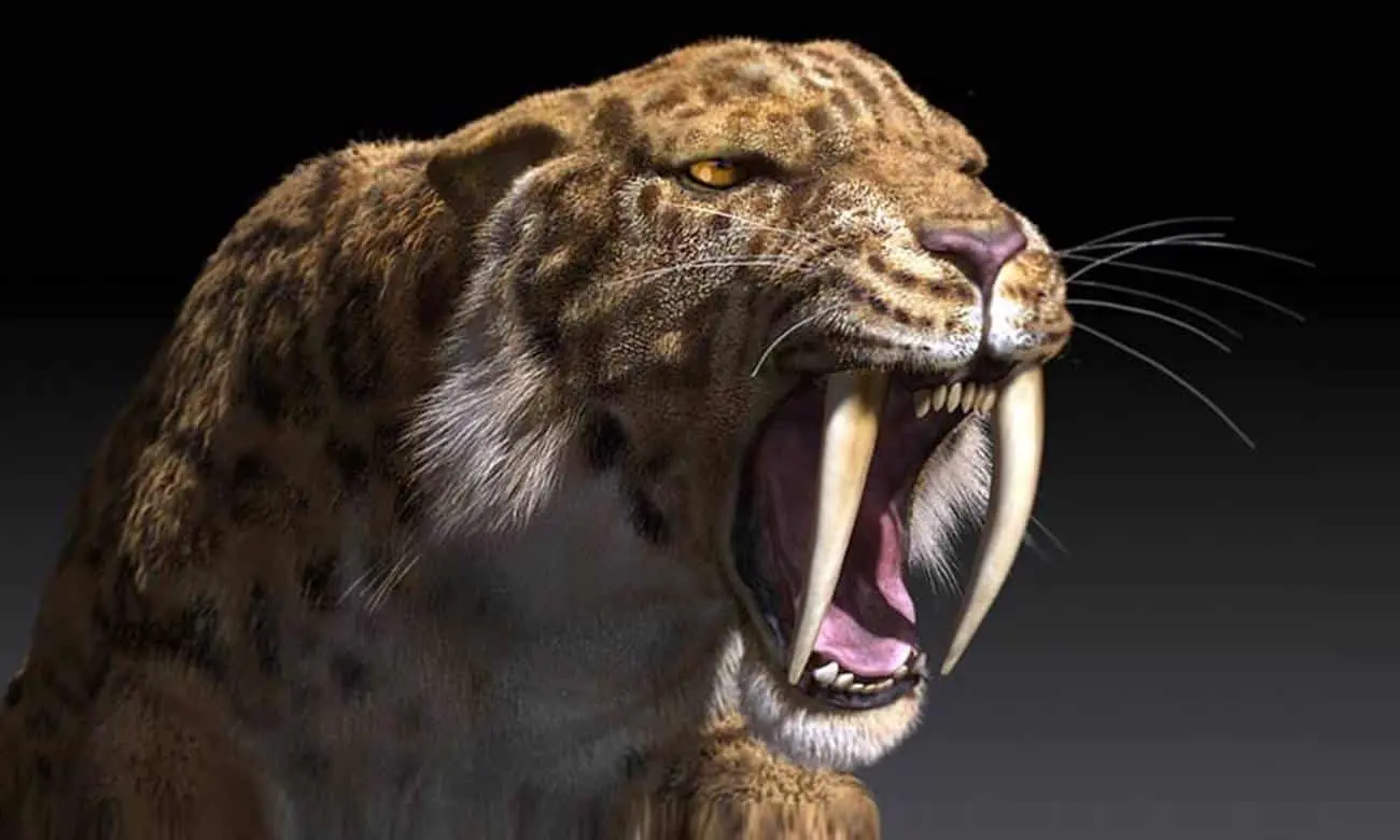 Smilodon extinto