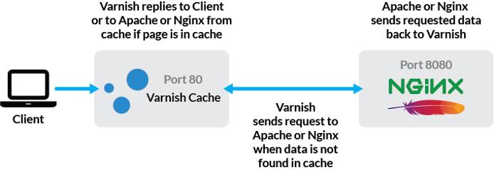 varnish cache