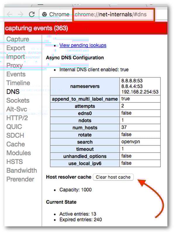 www chrome net internals dns