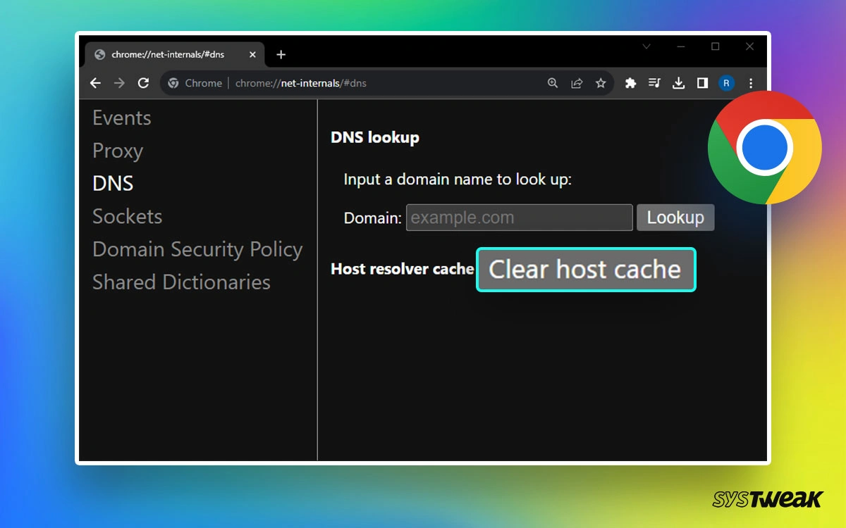 www chrome net internals dns