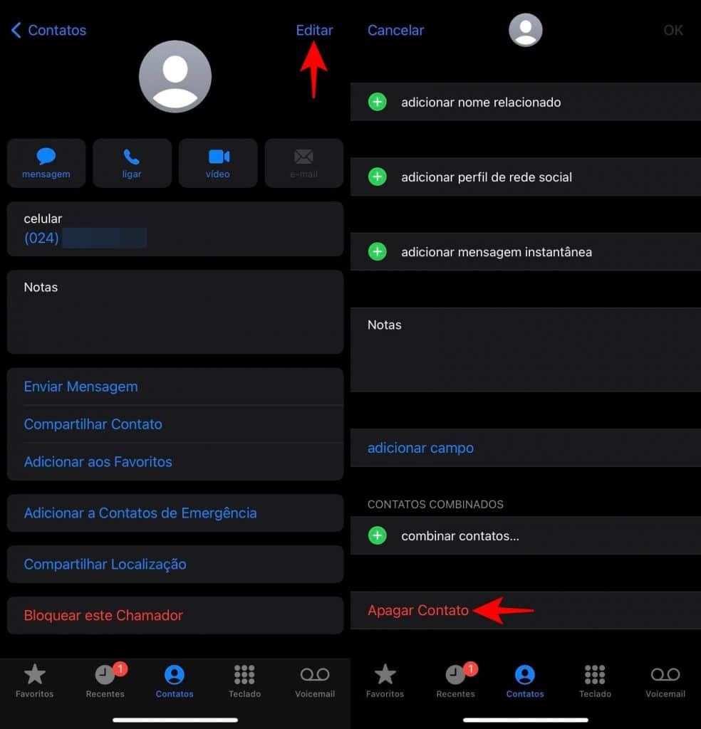 link direto para conversa no whatsapp